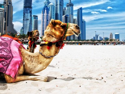dubai-plaj-kamila